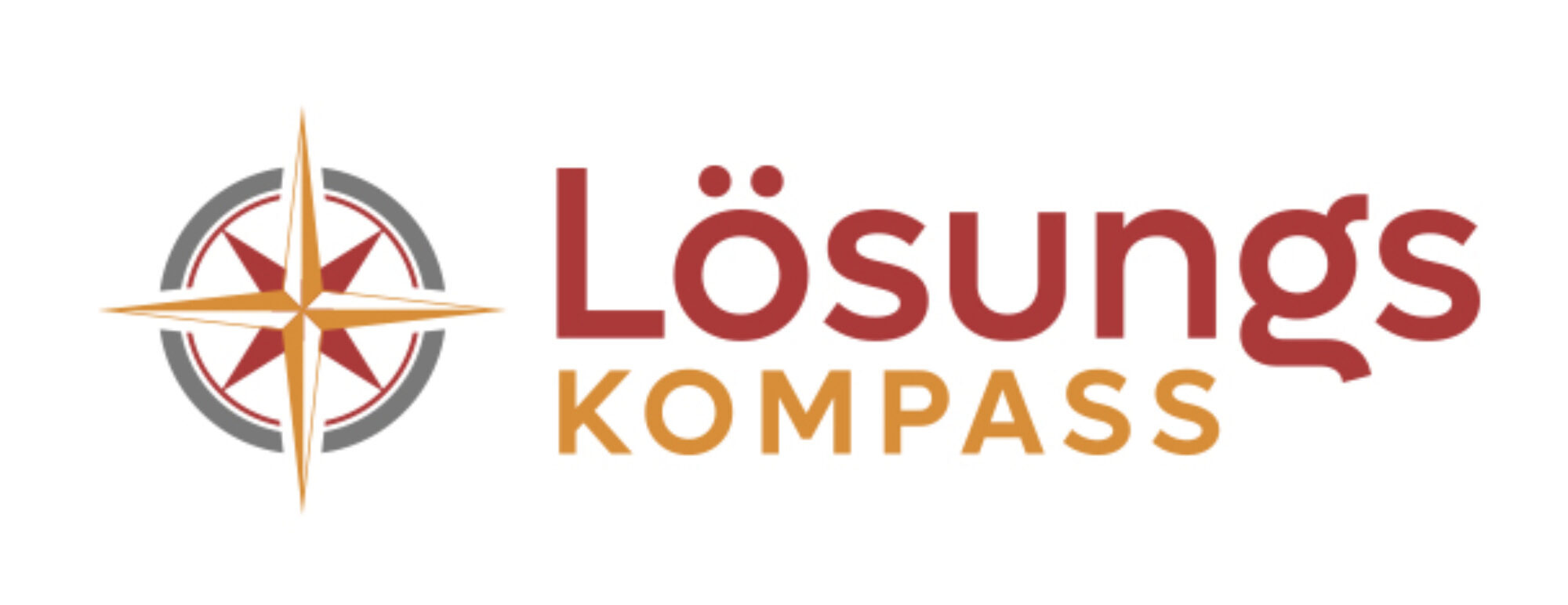 Lösungs-Kompass